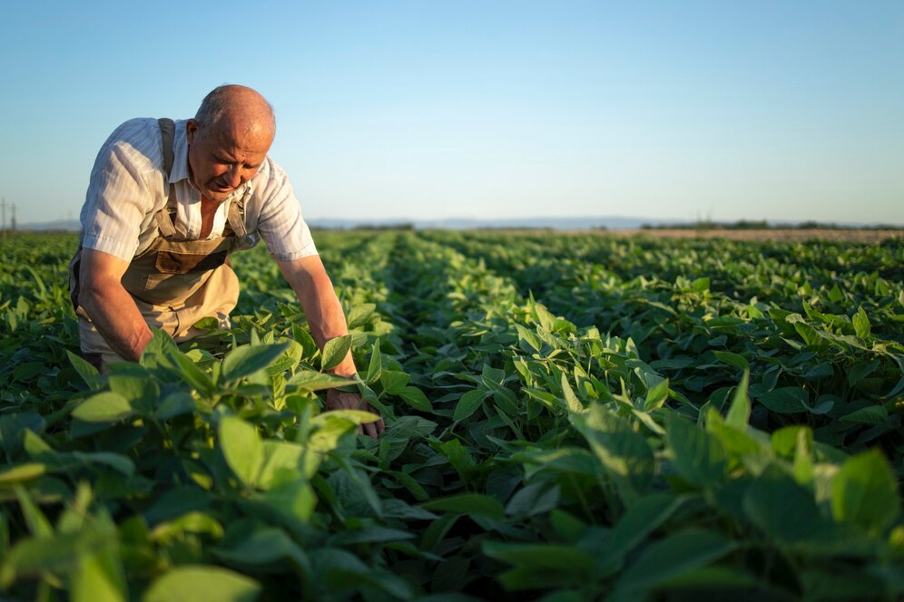 organic-crop-farming