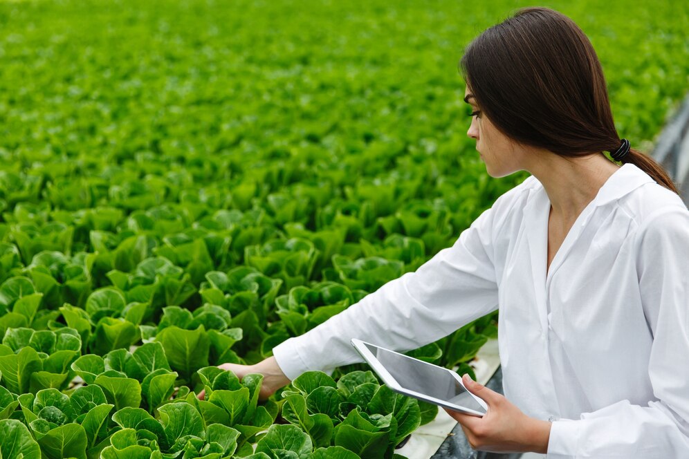 automated-farming
