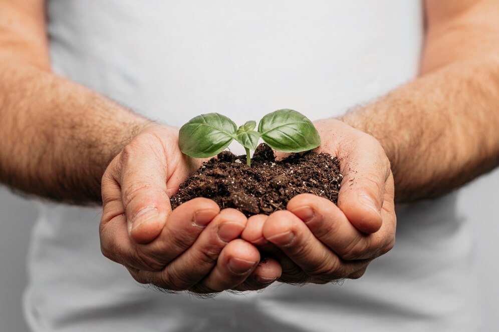 healthy-soil